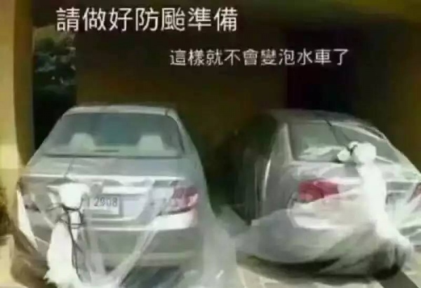 一条鲇鱼淹几座城，新台风紧随其后！厦门从不缺段子手...