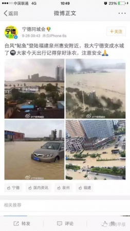 一条鲇鱼淹几座城，新台风紧随其后！厦门从不缺段子手...