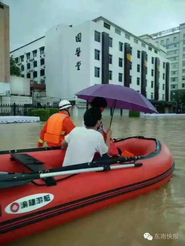 一条鲇鱼淹几座城，新台风紧随其后！厦门从不缺段子手...