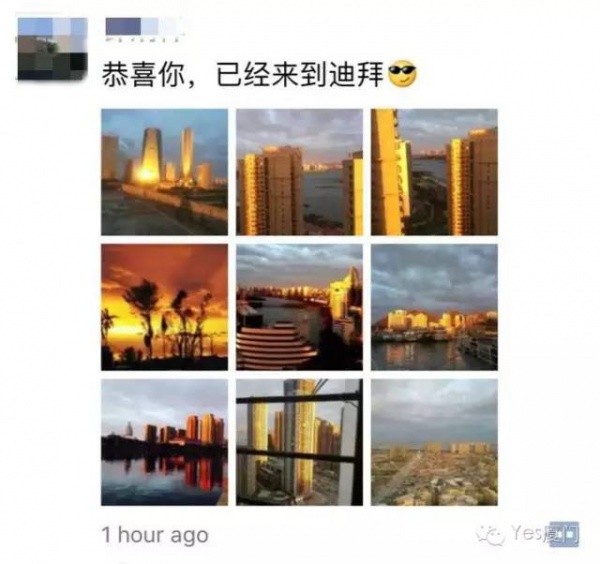 一条鲇鱼淹几座城，新台风紧随其后！厦门从不缺段子手...