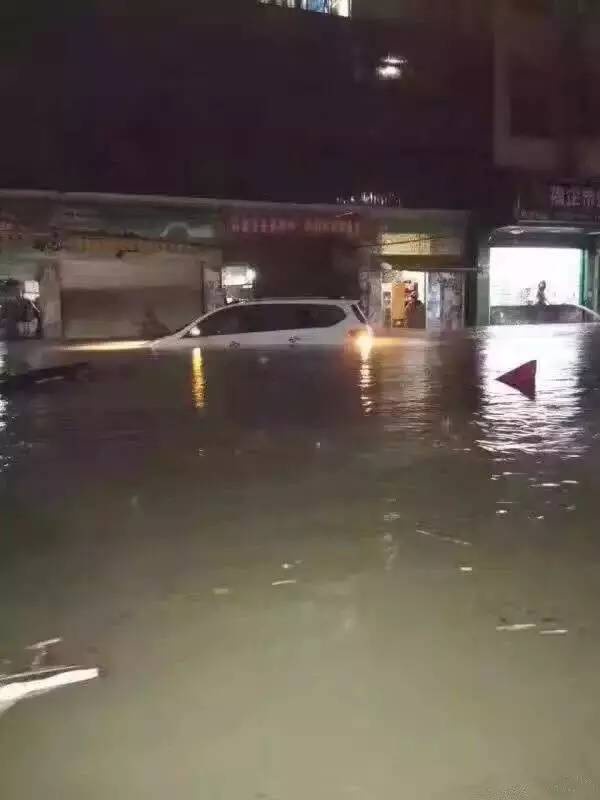 一条鲇鱼淹几座城，新台风紧随其后！厦门从不缺段子手...