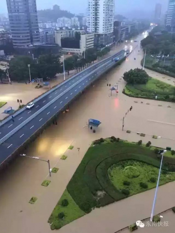 一条鲇鱼淹几座城，新台风紧随其后！厦门从不缺段子手...