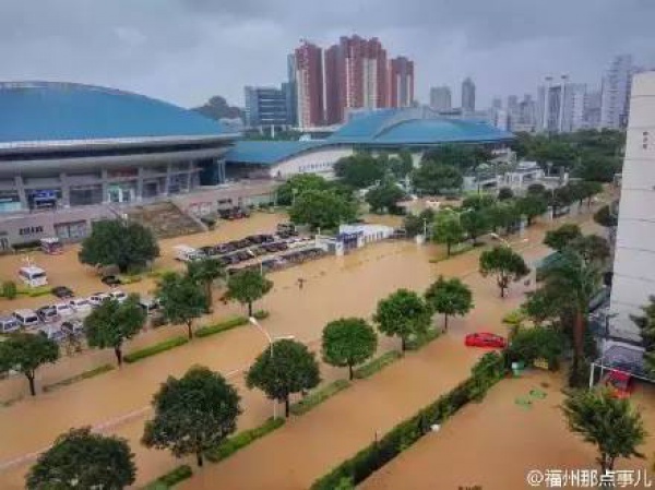 一条鲇鱼淹几座城，新台风紧随其后！厦门从不缺段子手...