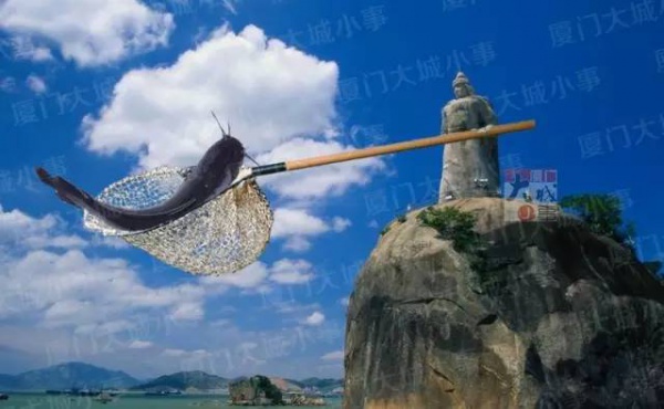 一条鲇鱼淹几座城，新台风紧随其后！厦门从不缺段子手...