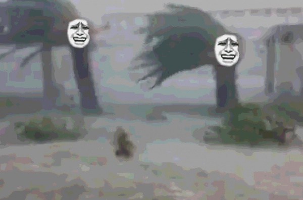 一条鲇鱼淹几座城，新台风紧随其后！厦门从不缺段子手...