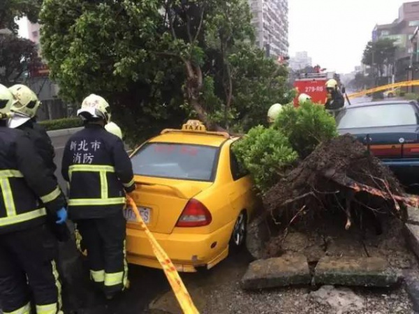 一条鲇鱼淹几座城，新台风紧随其后！厦门从不缺段子手...
