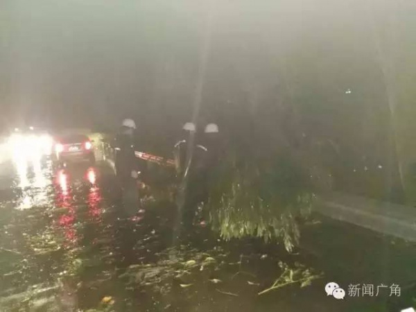 一条鲇鱼淹几座城，新台风紧随其后！厦门从不缺段子手...