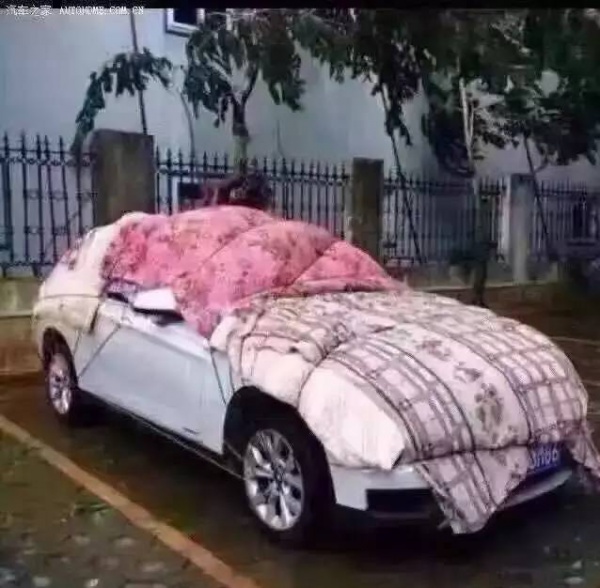 一条鲇鱼淹几座城，新台风紧随其后！厦门从不缺段子手...