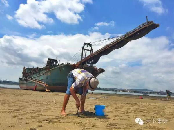 不能忘！大社第一男神的家族史带你回到旧时集美……