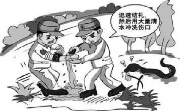 这九个日常急救常识竟然都是错的！家长教过，影视剧里也常见