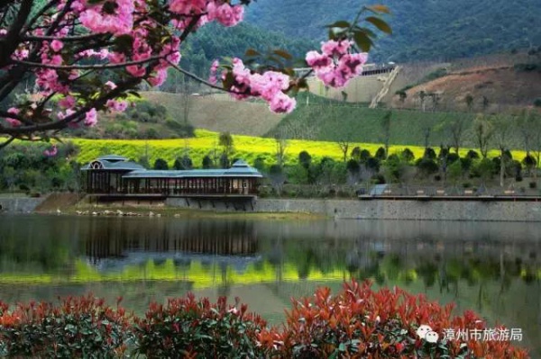 三月将至，花开当时，赏樱之行要提上日程了！