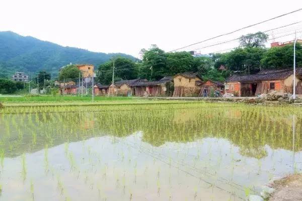 美貌直逼宏村婺源，厦门十大最美古村落静待你来~