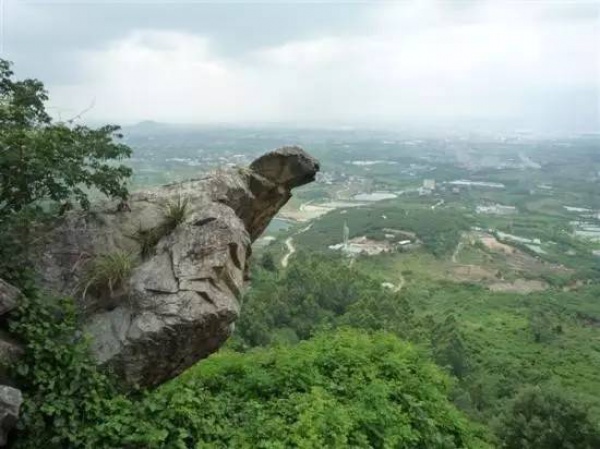 美貌直逼宏村婺源，厦门十大最美古村落静待你来~