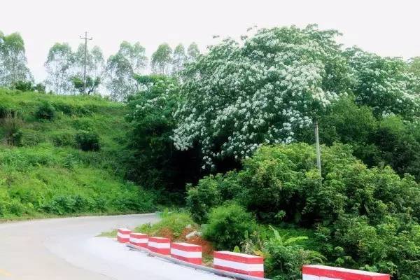 美貌直逼宏村婺源，厦门十大最美古村落静待你来~