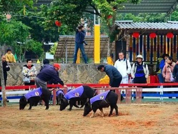 美貌直逼宏村婺源，厦门十大最美古村落静待你来~