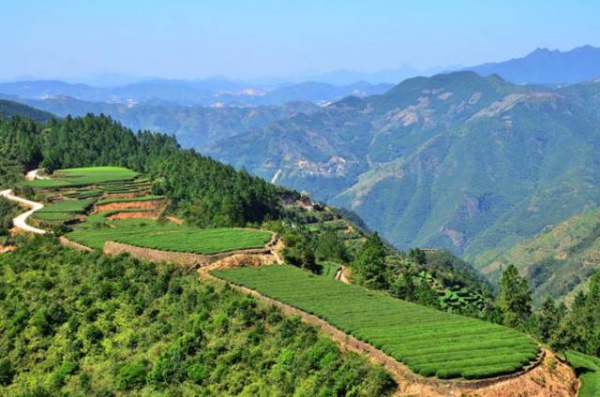 美貌直逼宏村婺源，厦门十大最美古村落静待你来~