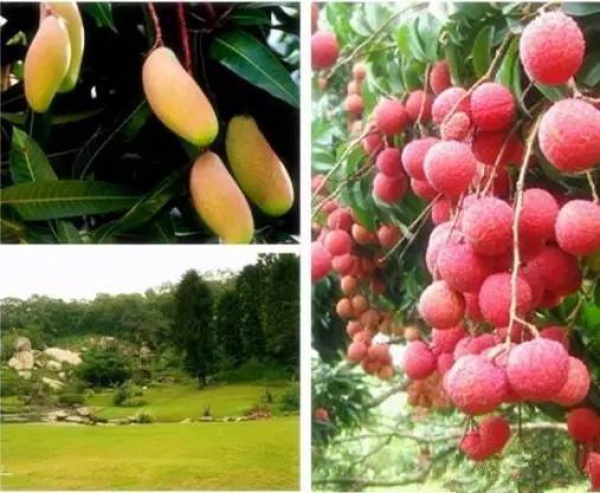 美貌直逼宏村婺源，厦门十大最美古村落静待你来~