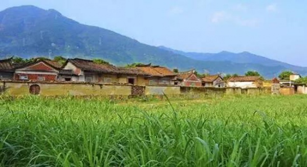 美貌直逼宏村婺源，厦门十大最美古村落静待你来~