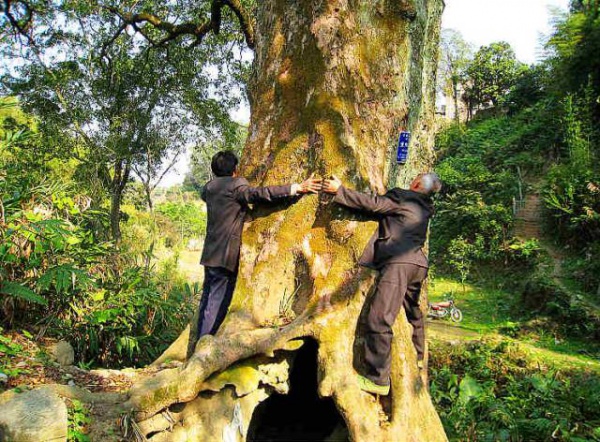 美貌直逼宏村婺源，厦门十大最美古村落静待你来~