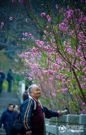 最美桃花季来啦！福建各地观赏攻略大集合，万花具备只欠迈腿