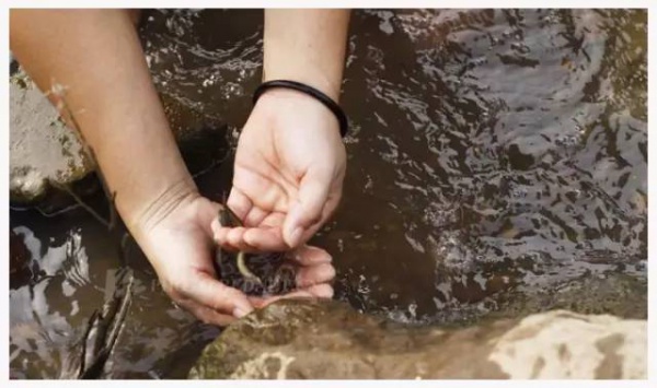 【3.5特价99！仅此一期】玫瑰小镇沙里淘金+抓泥鳅+滑沙+DIY鸡蛋彩绘/DIY彩陶娃娃一日游