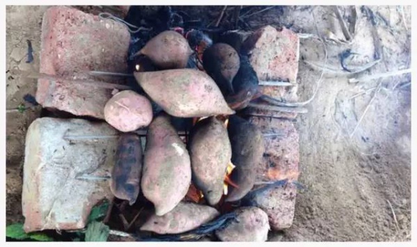 【￥78元】南安玫瑰小镇亲子自由行套票