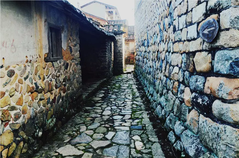 【￥99元|每周六发团】桃花岛-欣赏桃花李花；古山重-艳遇最美油菜花开1日游