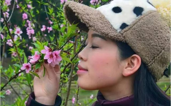 【￥99元|每周六发团】桃花岛-欣赏桃花李花；古山重-艳遇最美油菜花开1日游