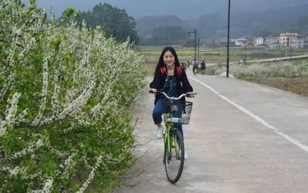 【￥99元|每周六发团】桃花岛-欣赏桃花李花；古山重-艳遇最美油菜花开1日游