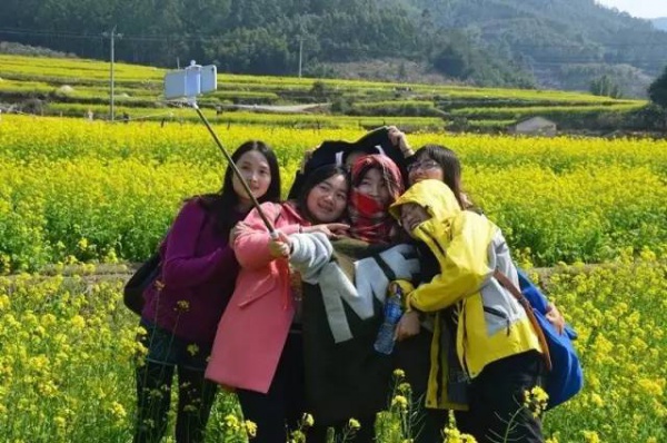 【￥99元|每周六发团】桃花岛-欣赏桃花李花；古山重-艳遇最美油菜花开1日游