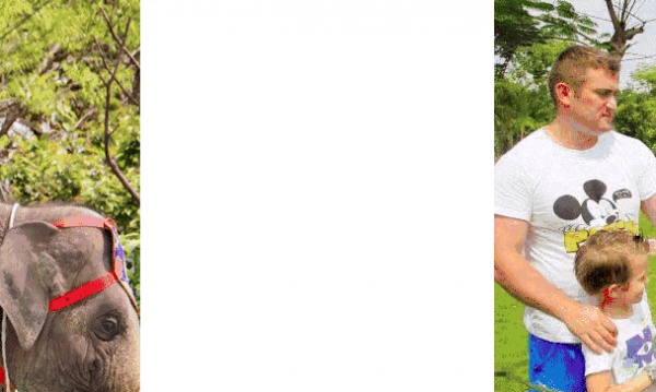 抢购198元|厦门灵玲国际马戏城畅玩通票：马戏表演+灵玲动物城