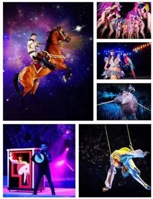 抢购198元|厦门灵玲国际马戏城畅玩通票：马戏表演+灵玲动物城