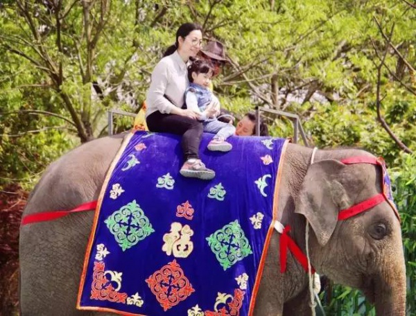 抢购198元|厦门灵玲国际马戏城畅玩通票：马戏表演+灵玲动物城