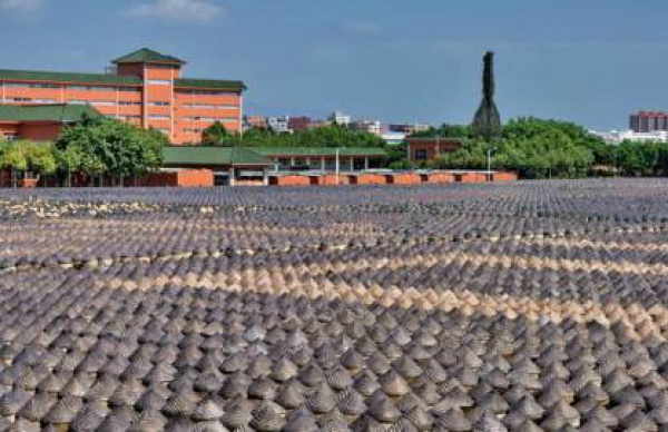 探索新奇的动物知识和传统的古龙酱文化，来场一日游吧！