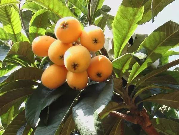 悲痛！翔安隧道收费站口突发车祸，女司机跪在死者尸体前哭喊对不起......