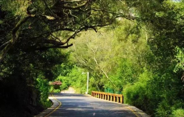 30元省啦！厦门这个4A级景区将免费开放！还有这些0元美景逛起来~