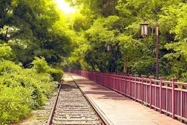 30元省啦！厦门这个4A级景区将免费开放！还有这些0元美景逛起来~