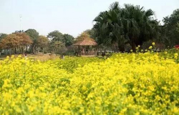 30元省啦！厦门这个4A级景区将免费开放！还有这些0元美景逛起来~