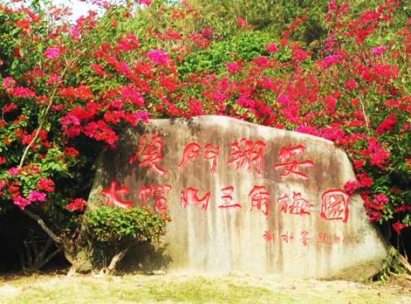 30元省啦！厦门这个4A级景区将免费开放！还有这些0元美景逛起来~