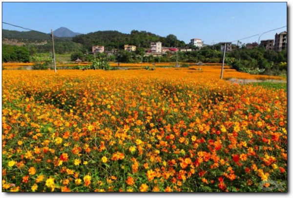 前格村好玩吗_前格村怎么去(在哪里)_前格村门票多少钱?_前格村