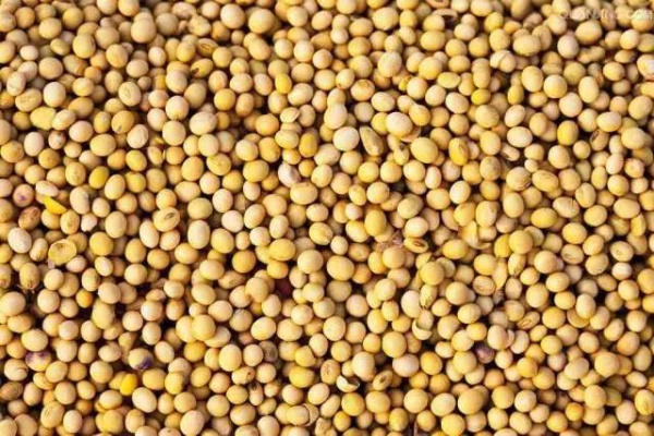 枕头里装上它，竟能改善颈椎问题！人人可自制，只要几块钱