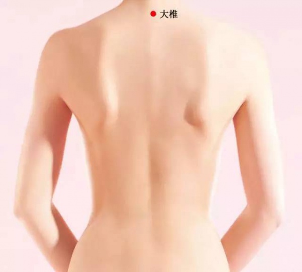 清明前后，这种叶子神通广大！三招用好了，胜过长跑三十年