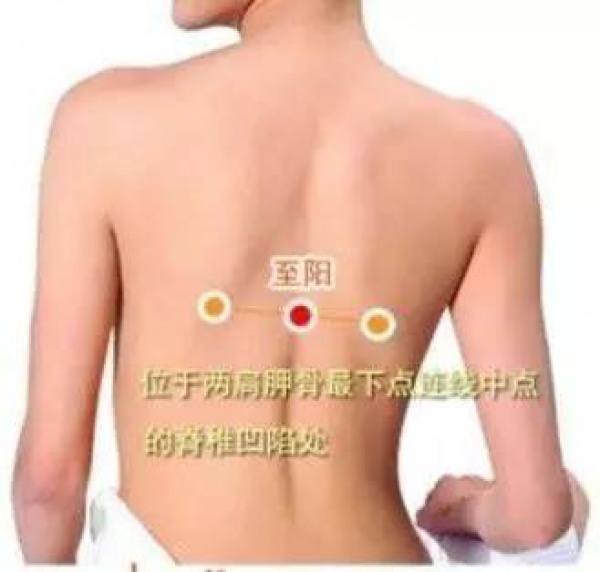 清明前后，这种叶子神通广大！三招用好了，胜过长跑三十年