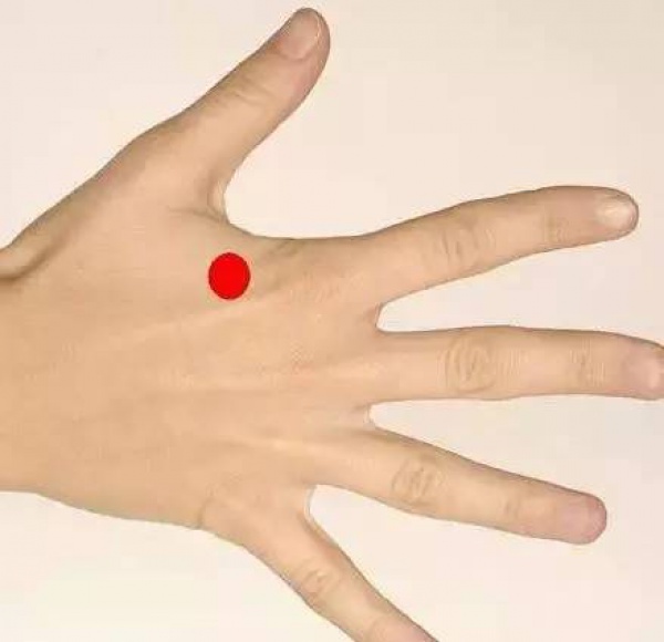 清明前后，这种叶子神通广大！三招用好了，胜过长跑三十年