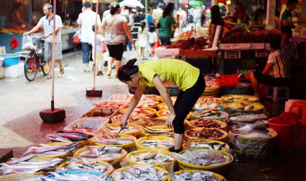 厦门人必备手册！老渔民写的海鲜年历，教你怎么应季吃海鲜！