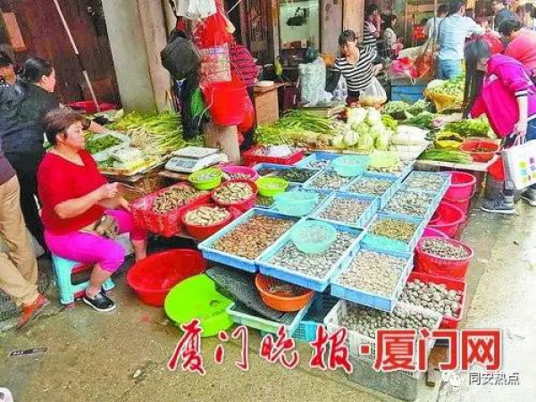 注意！这种“甲锥螺”近期上市毒性难辨，集美人莫贪美味盲目食用！