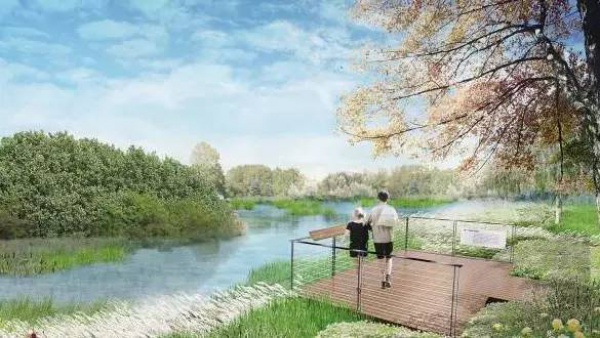 骄傲！杏林湾湿地公园再添“新名片”，厦门市唯一上榜，再过不久要惊艳登场！