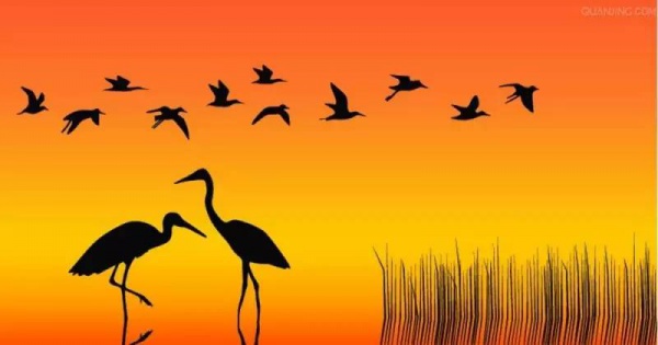 骄傲！杏林湾湿地公园再添“新名片”，厦门市唯一上榜，再过不久要惊艳登场！