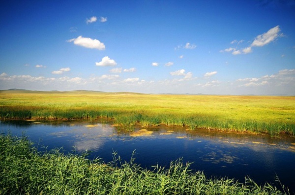 骄傲！杏林湾湿地公园再添“新名片”，厦门市唯一上榜，再过不久要惊艳登场！