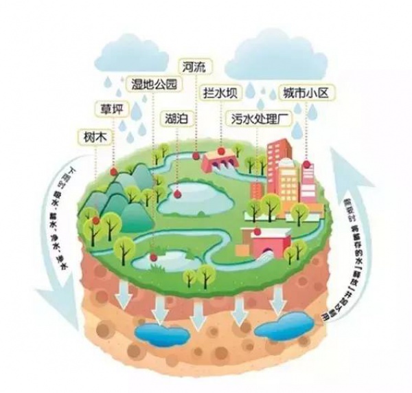 骄傲！杏林湾湿地公园再添“新名片”，厦门市唯一上榜，再过不久要惊艳登场！